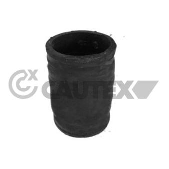 Durite de radiateur CAUTEX [769917]