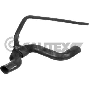 Durite de radiateur CAUTEX 770004