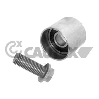 Poulie renvoi/transmission, courroie de distribution CAUTEX OEM 06B109244