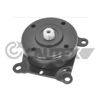 Poulie-tendeur, courroie trapézoïdale à nervures CAUTEX OEM 1425498