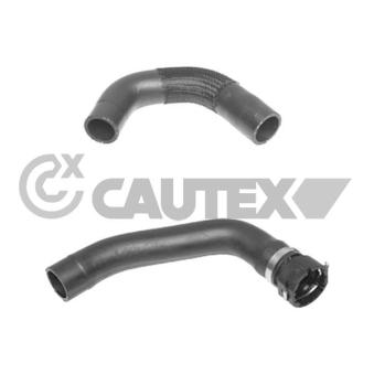 Durite de radiateur CAUTEX OEM 1606662280