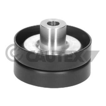 Poulie renvoi/transmission, courroie trapézoïdale à nervures CAUTEX OEM 1717608