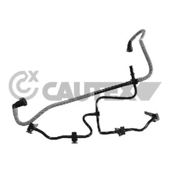 Tuyau, carburant de fuite CAUTEX [770390]