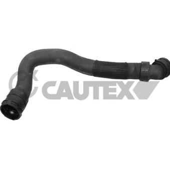 Durite de radiateur CAUTEX [770489]