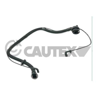 Tuyau, ventilation de carter-moteur CAUTEX 770490