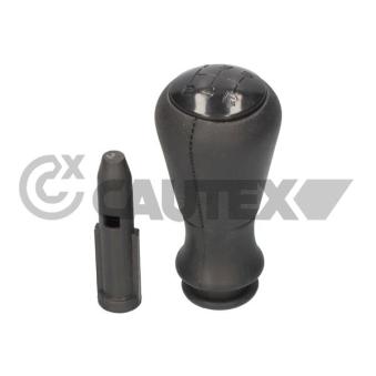 Pommeau CAUTEX OEM 2403AP