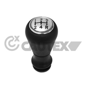 Pommeau CAUTEX OEM 2403X9