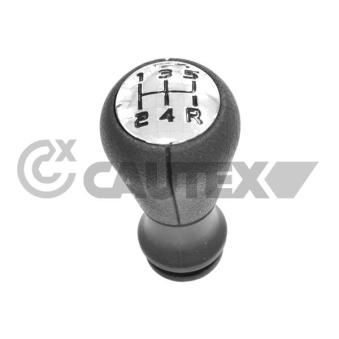 Pommeau CAUTEX OEM 2403AP