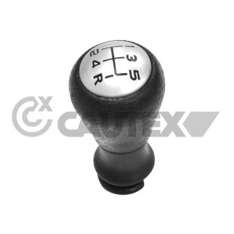 Pommeau CAUTEX OEM 2403AP