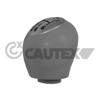 Pommeau CAUTEX 770539