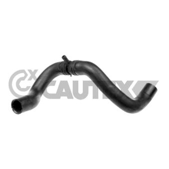 Durite de radiateur CAUTEX 770906