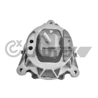 Support moteur CAUTEX OEM 22116855460
