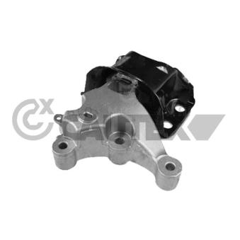 Support, suspension du moteur CAUTEX OEM 8200437589