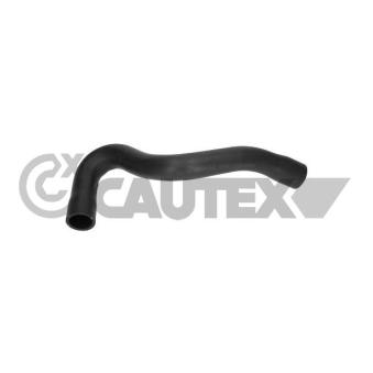 Durite de radiateur CAUTEX OEM 1337542