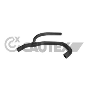 Durite de radiateur CAUTEX 771101