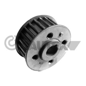 Roue dentée, vilebrequin CAUTEX 771136 Roue dentée, vilebrequin CAUTEX 771136