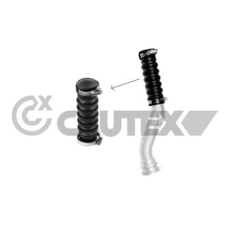 Gaine de suralimentation CAUTEX OEM 8200447887