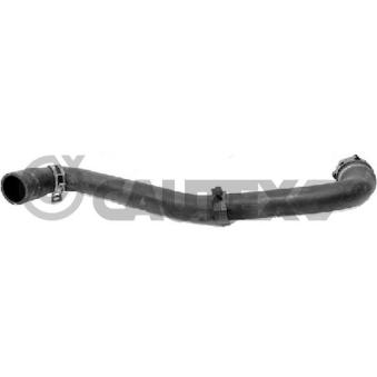 Durite de radiateur CAUTEX 771280