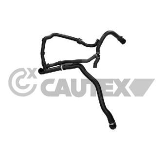 Durite de radiateur CAUTEX [771377]