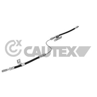Flexible de frein arrière droit CAUTEX 771402