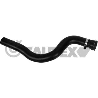 Durite de radiateur CAUTEX [771616]