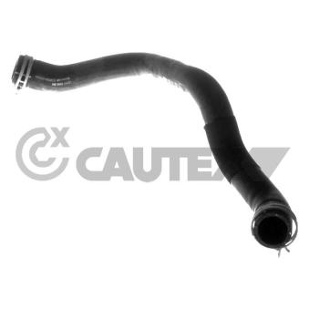 Durite de radiateur CAUTEX OEM 1766649