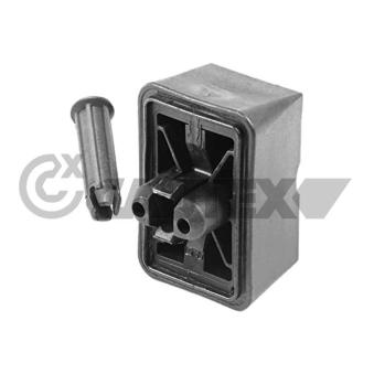 Fixation, cric CAUTEX 771763