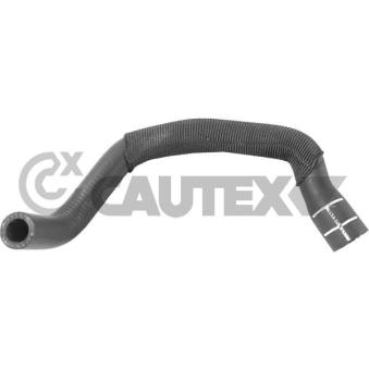 Durite de radiateur CAUTEX [771769]