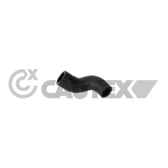 Durite de radiateur CAUTEX 771772