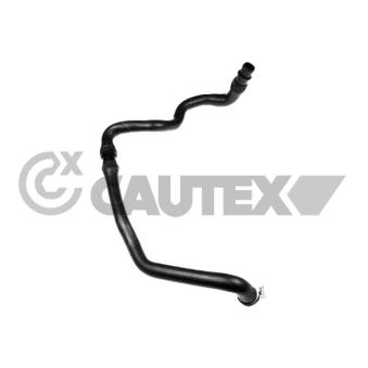 Durite de radiateur CAUTEX [771789]