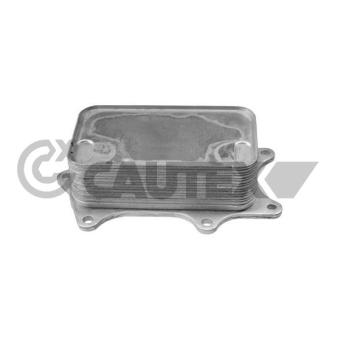 Radiateur d'huile CAUTEX OEM 6261800165