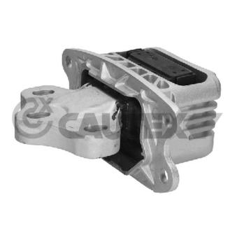 Support moteur CAUTEX OEM 22316853453