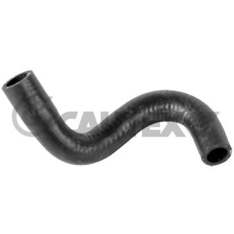 Durite de radiateur CAUTEX OEM 8200147892