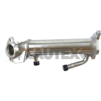 Radiateur, réaspiration des gaz d'échappement CAUTEX OEM 135981