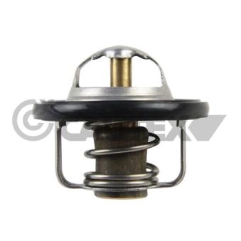 Thermostat, liquide de refroidissement CAUTEX OEM 95492929