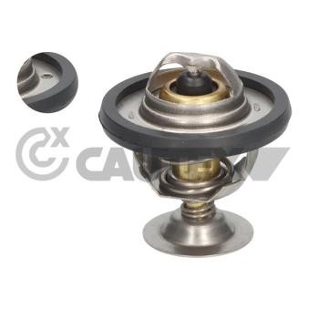 Thermostat, liquide de refroidissement CAUTEX OEM ERR3291 Thermostat, liquide de refroidissement CAUTEX OEM ERR3291