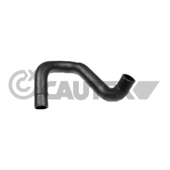 Durite de radiateur CAUTEX 772336