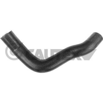 Durite de radiateur CAUTEX [772347]