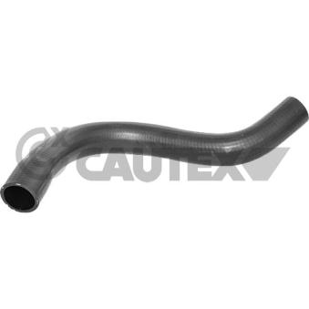 Durite de radiateur CAUTEX 772362