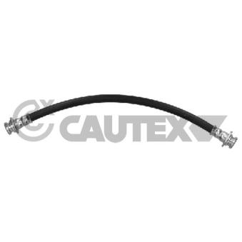 Flexible de frein arrière gauche CAUTEX OEM 5156083031 Flexible de frein arrière gauche CAUTEX OEM 5156083031