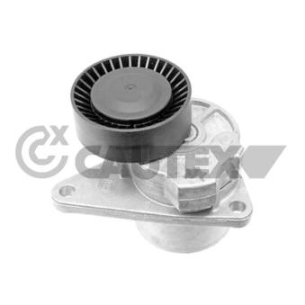 Tendeur de courroie, courroie trapézoïdale à nervures CAUTEX OEM 31251250