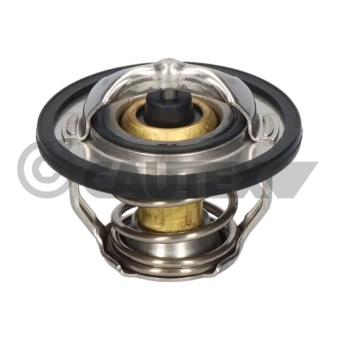 Thermostat, liquide de refroidissement CAUTEX 772471