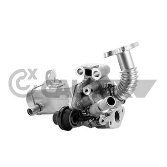 Module-EGR CAUTEX OEM 147355X00B