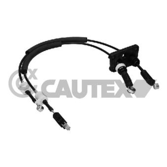 Tirette à câble, boîte de vitesse manuelle CAUTEX OEM 6338017