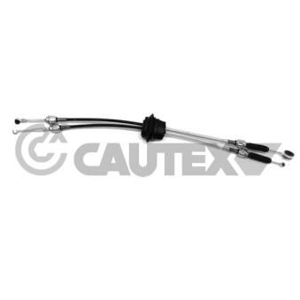 Tirette à câble, boîte de vitesse manuelle CAUTEX 772584
