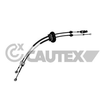 Tirette à câble, boîte de vitesse manuelle CAUTEX 772586