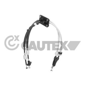 Tirette à câble, boîte de vitesse manuelle CAUTEX 772635