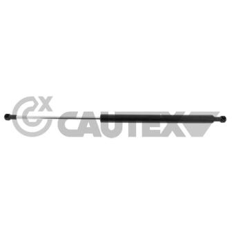 Vérin de hayon, de coffre CAUTEX OEM 6895005050 Vérin de hayon, de coffre CAUTEX OEM 6895005050