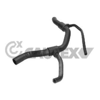 Durite de radiateur CAUTEX 773564