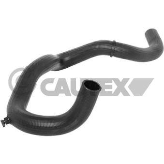 Durite de radiateur CAUTEX [773566]